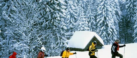 Snow and ski sports