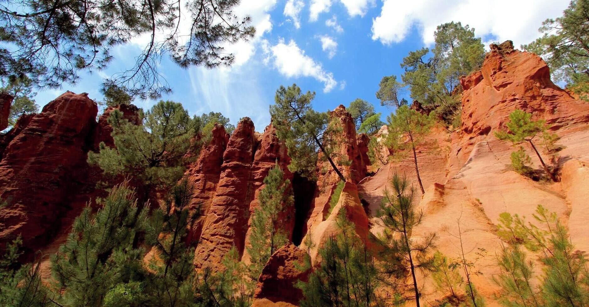 A natural landscape with red rock formations and pine trees.