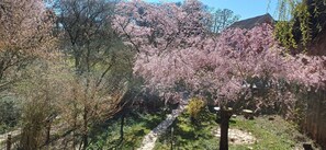 Uklassifisert bilde, 3 av 70, knapp