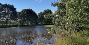 Uklassifisert bilde, 5 av 70, knapp