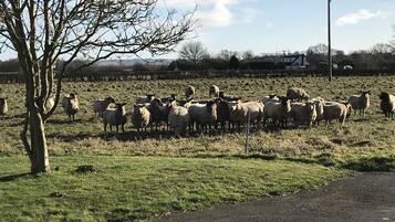 Façana frontal de l'allotjament
