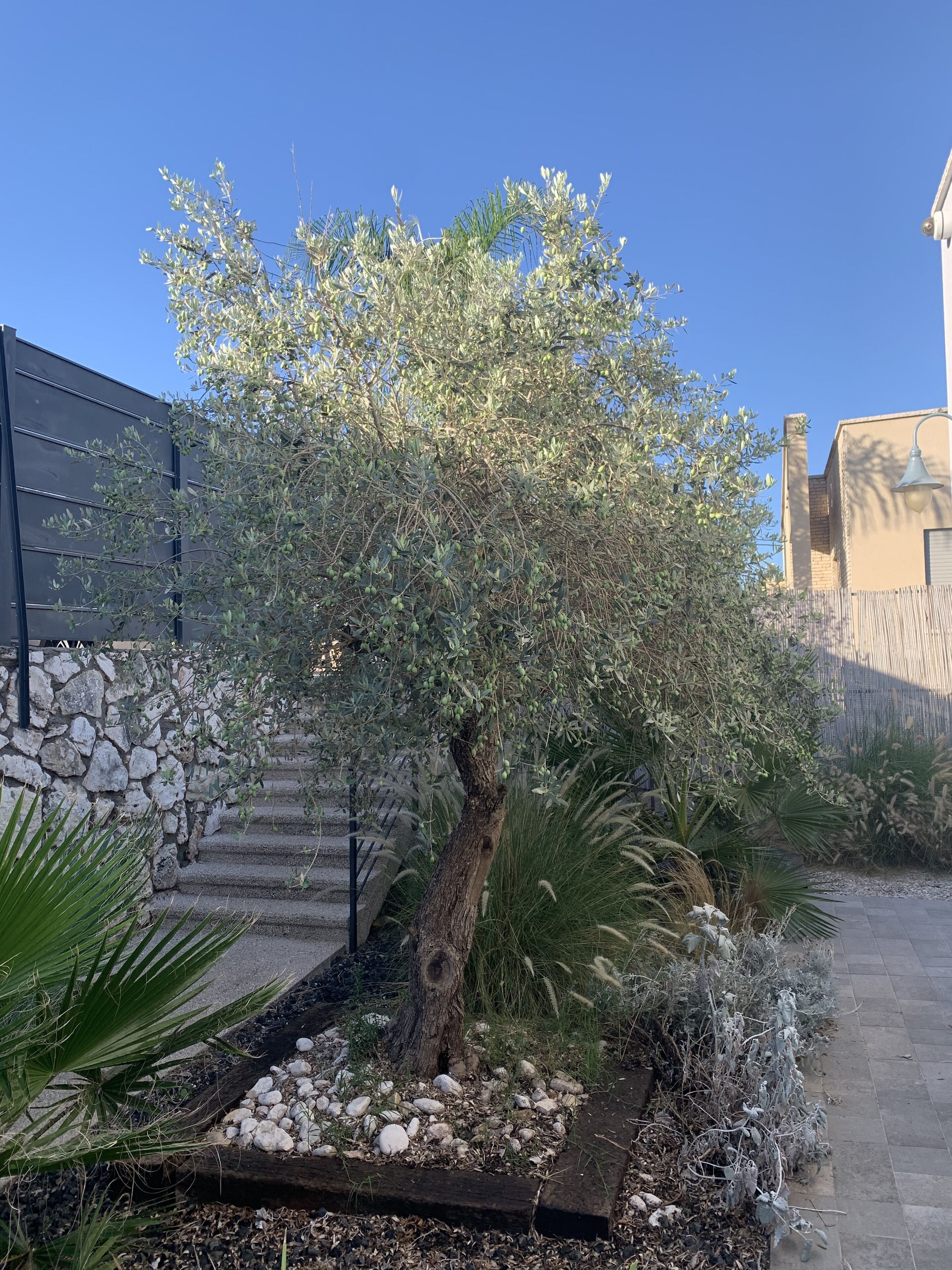 Bagian depan properti