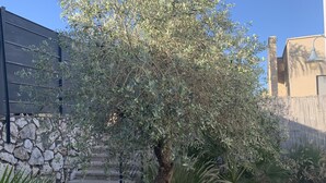 Un jardin avec un arbre, un mur en pierre et un chemin dallé.