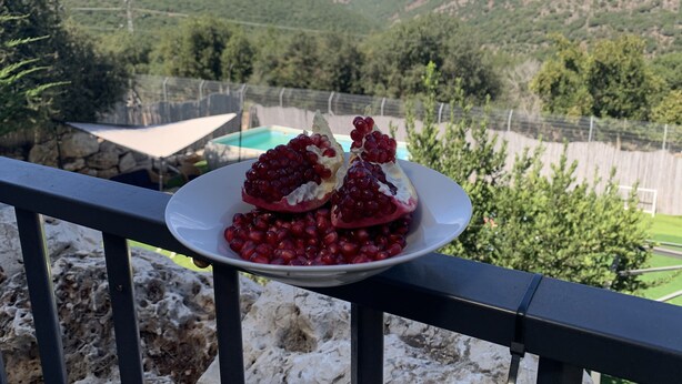 Une assiette blanche, ornée de moitiés de grenade et d’une cuillère de crème, est posée sur la rambarde d’un balcon, d’où l’on aperçoit une piscine et des collines verdoyantes.