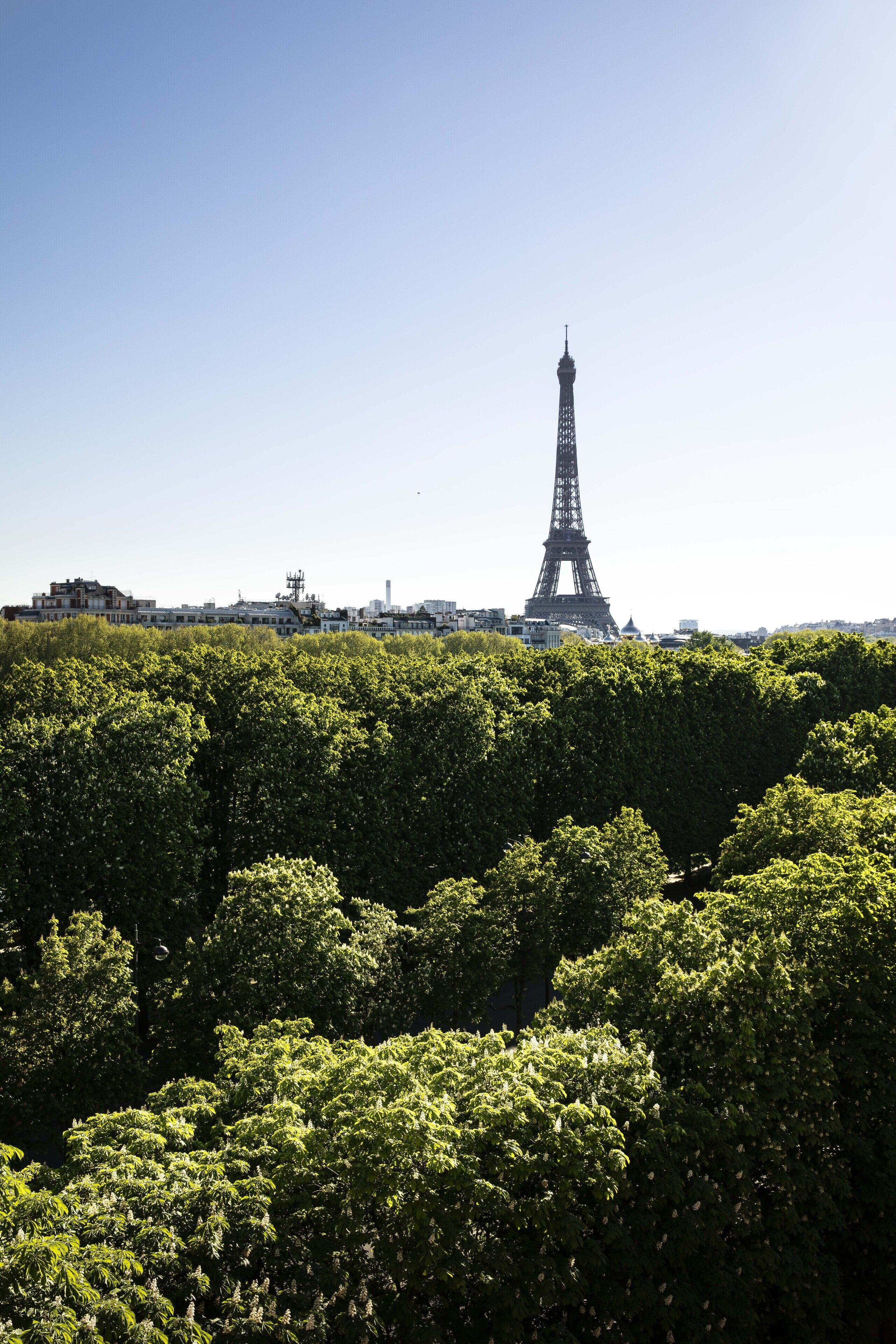 Photo - Le Damantin Hôtel & Spa