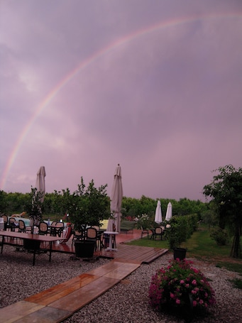 Outdoor dining. La Prosciutta