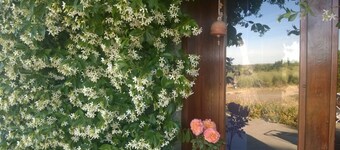 Chacra La Calandria B&B