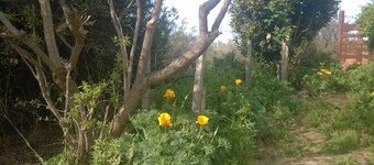 Chacra La Calandria B&B