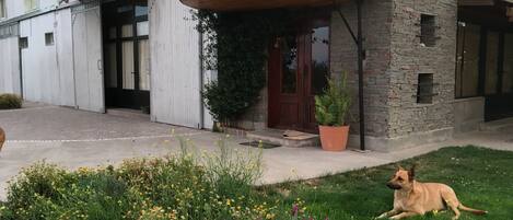 A modern house with a stone facade, a wooden porch, and a dog resting on the grass.