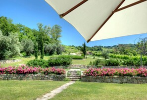 Property grounds - Agriturismo Case Nuove (Modigliana)