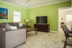 Flat-screen TV