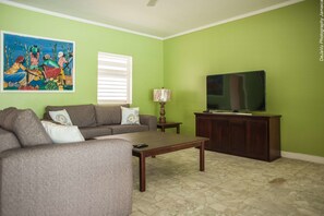 Flat-screen TV