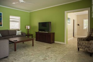 Flat-screen TV