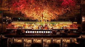 A bar with a large tree display and numerous bottles of liquor. - House Hotel Belfast (Belfast)