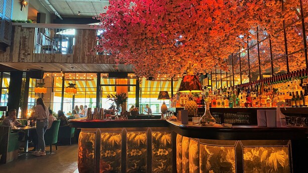 A bar area with a counter, seating, and a decorative tree with pink flowers. - House Hotel Belfast (Belfast)