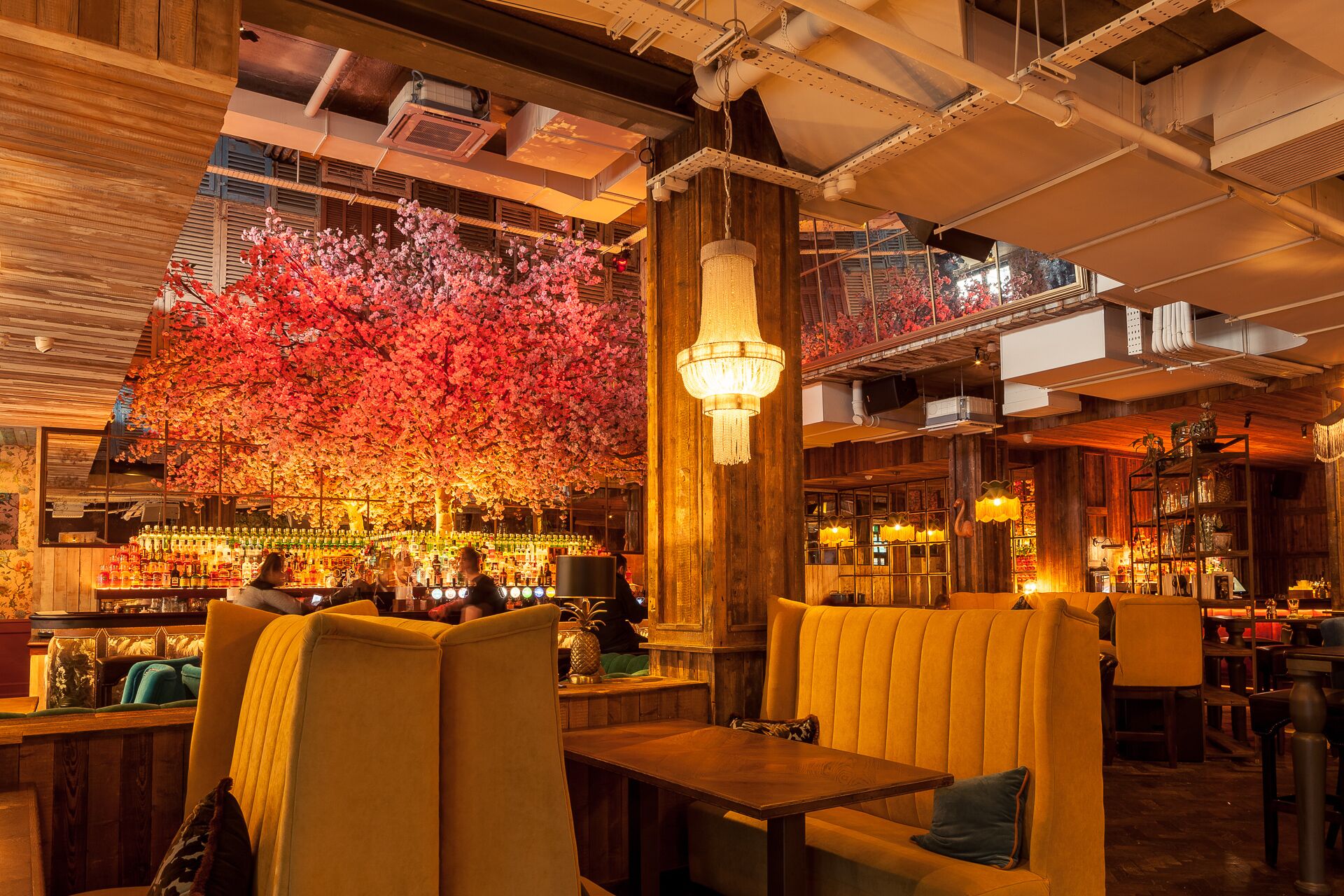 breakfast, lunch and dinner served