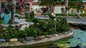 Lake - Villa Dora Mae (Ocho Rios)
