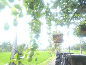 Property grounds - Pondok Bungkuan (Ubud)