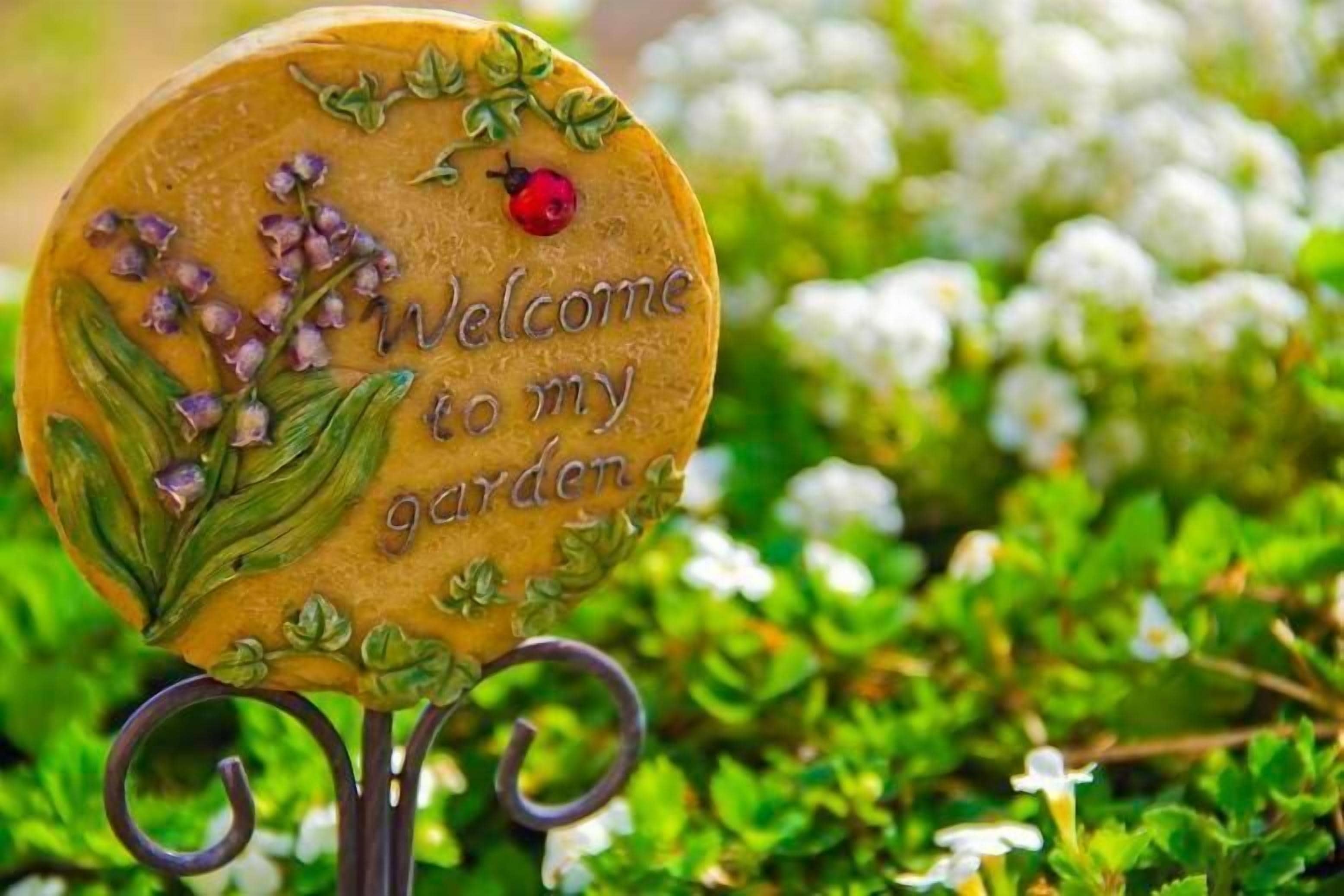 Foto - Posada Punta Ballota