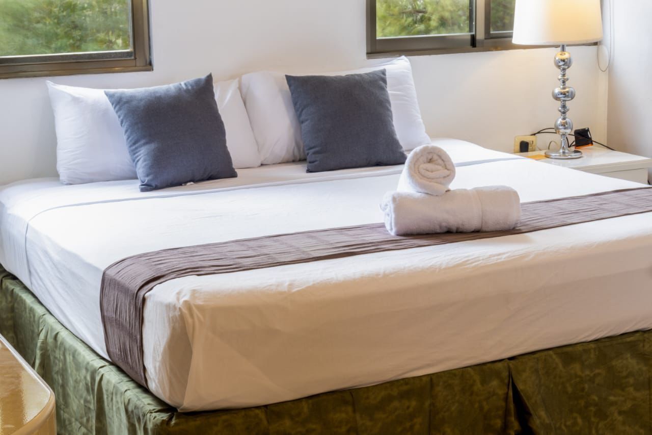 standard room | egyptian cotton sheets, premium bedding, down duvets