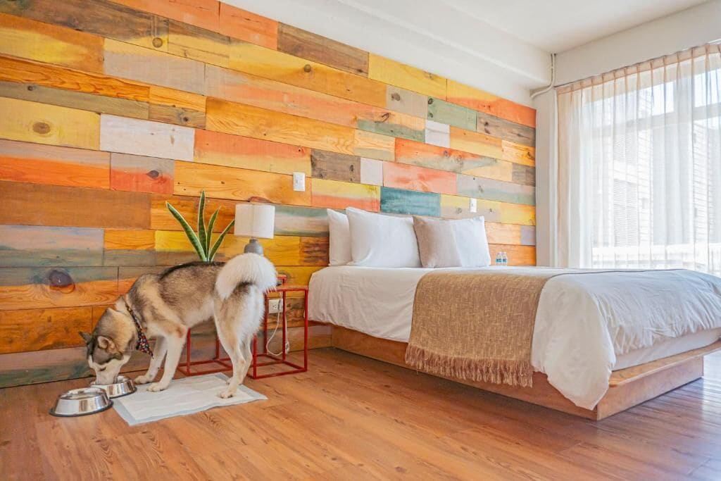 A bedroom with a wooden slat wall, a bed, a dog eating from a bowl, and a plant.