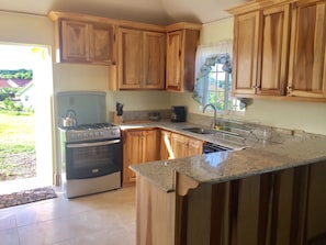A kitchen with wooden cabinets, a stove, and a sink.
