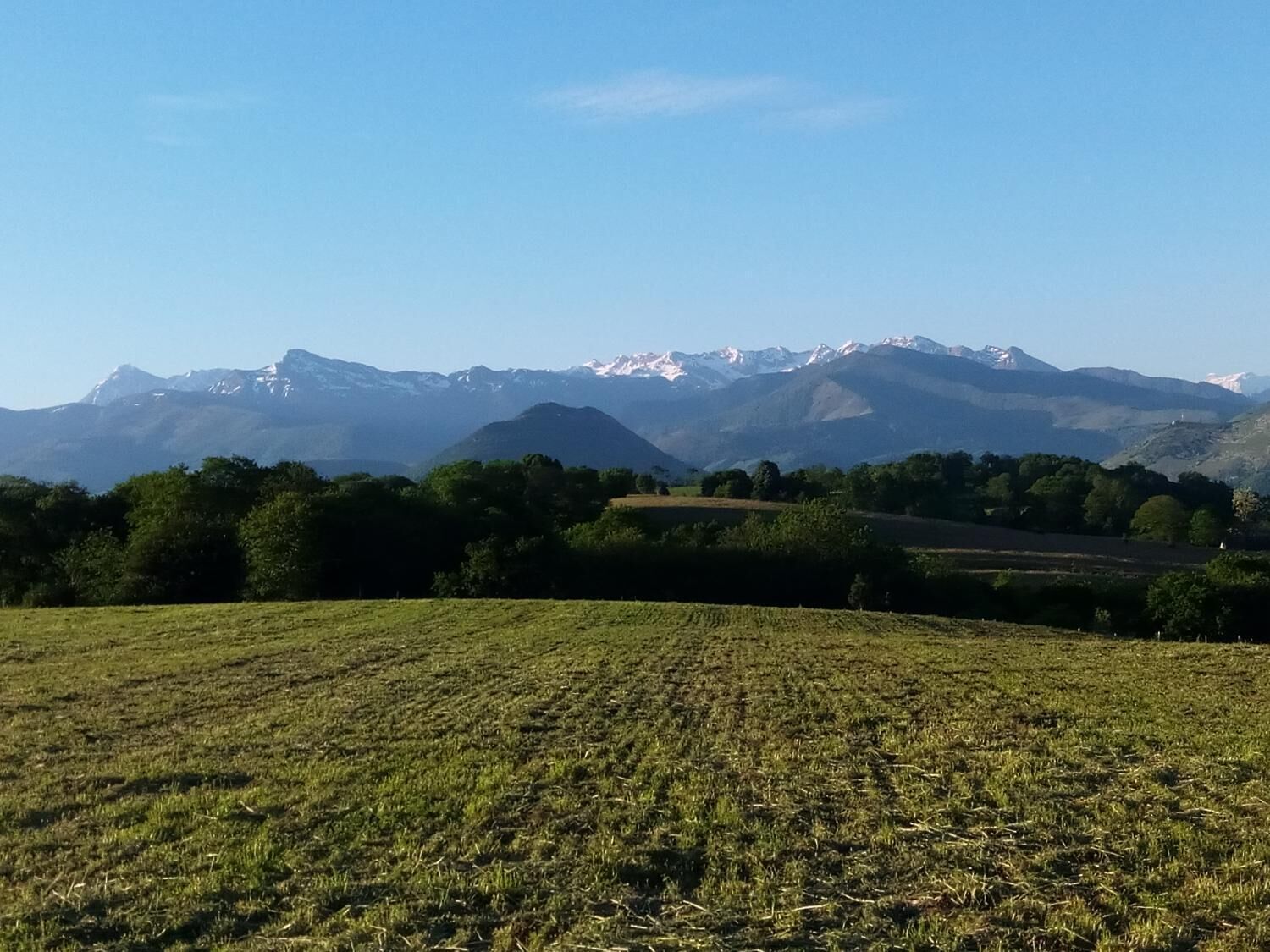 A field with distant mountains under a clear sky.