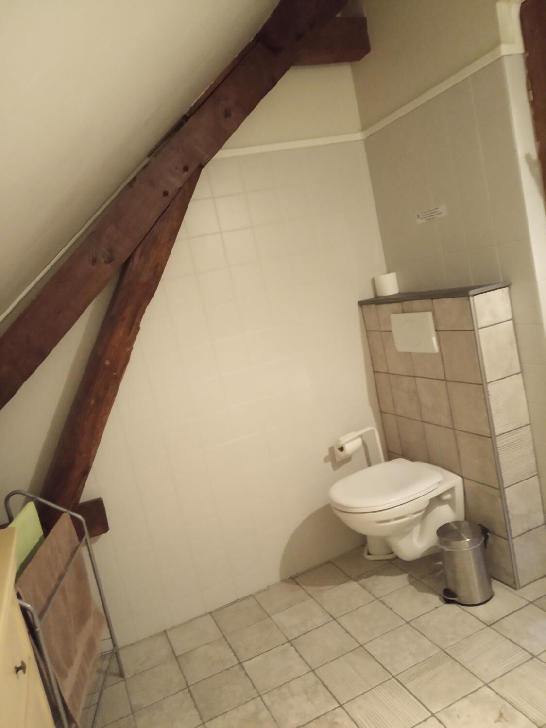 A small bathroom with a white toilet, a trash bin, and a tiled wall.