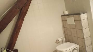 A small bathroom with a white toilet, a trash bin, and a tiled wall.
