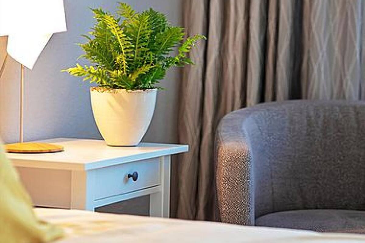 A hotel room with a bed, a bedside table with a lamp, a potted plant, and a framed picture on the wall.