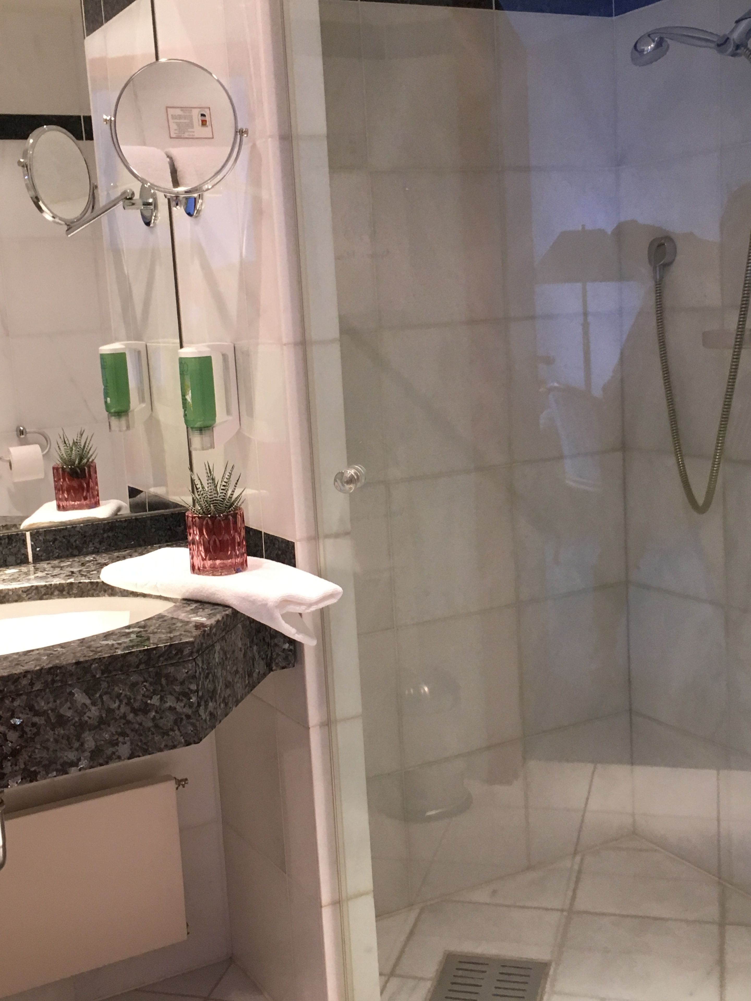 A bathroom with a glass shower enclosure, a sink with a granite countertop, and two small potted plants.