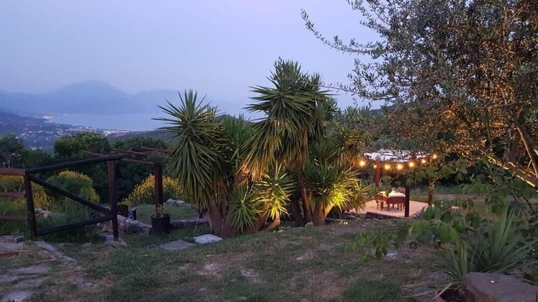 Vista dalla struttura