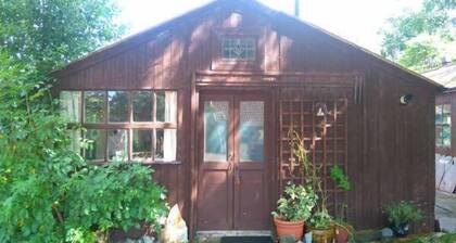 Pear Tree Farm