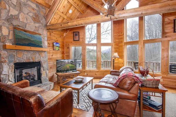 TV connectée, cheminée, jeux vidéo, lecteur de DVD