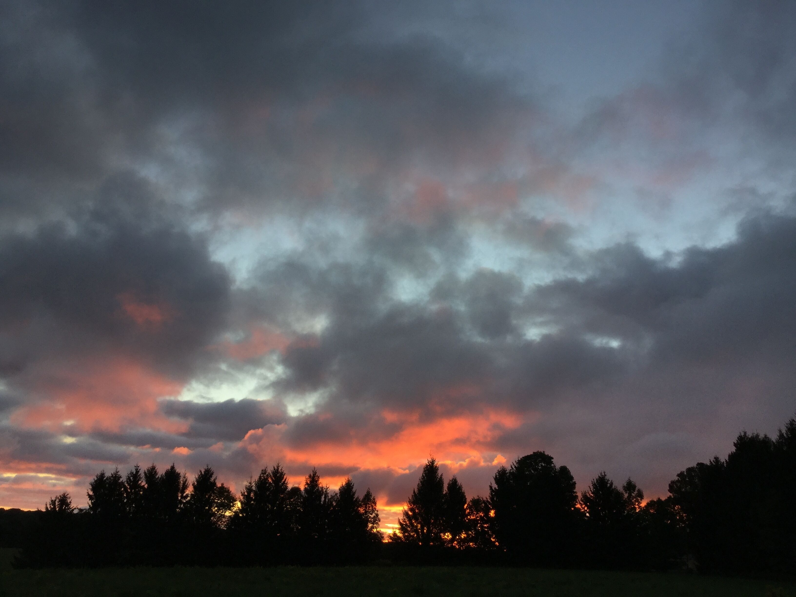 A landscape with a field and trees silhouetted against a sunset sky.