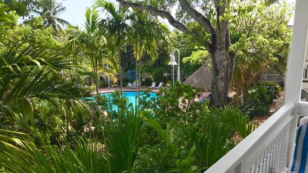 A pool area surrounded by lush greenery, with a thatched-roof structure and lounge chairs.