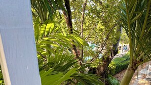 A garden with palm trees and a stone pathway.