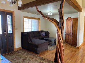 TV, caminetto, libri