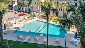 A swimming pool with lounge chairs and umbrellas, surrounded by palm trees and a fence.