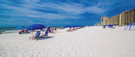 A beach with rows of blue umbrellas and beach chairs, a sandy shore, and a hotel building in the background.