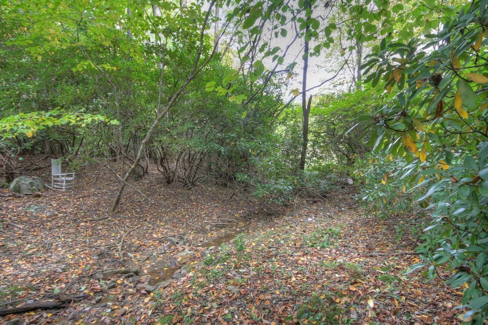 A forested area with a metal bench and a path covered with fallen leaves.