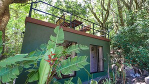 Een laag, klein gebouw met een groene gevel, omgeven door weelderige beplanting en bomen.