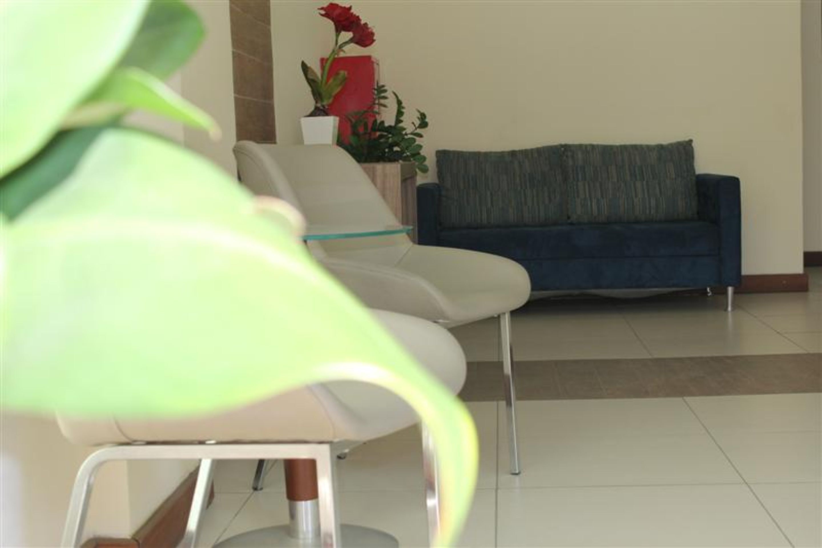 A waiting area with a blue sofa, a white chair, and a potted plant with red flowers.