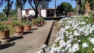 Taman