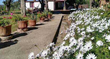 Cabañas Rancho Ojeda