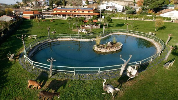 An aerial view of a park with a circular pond, surrounded by a fence, and various animals including ostriches and deer. - Hotel Rural La Noria (Ciudad Rodrigo)