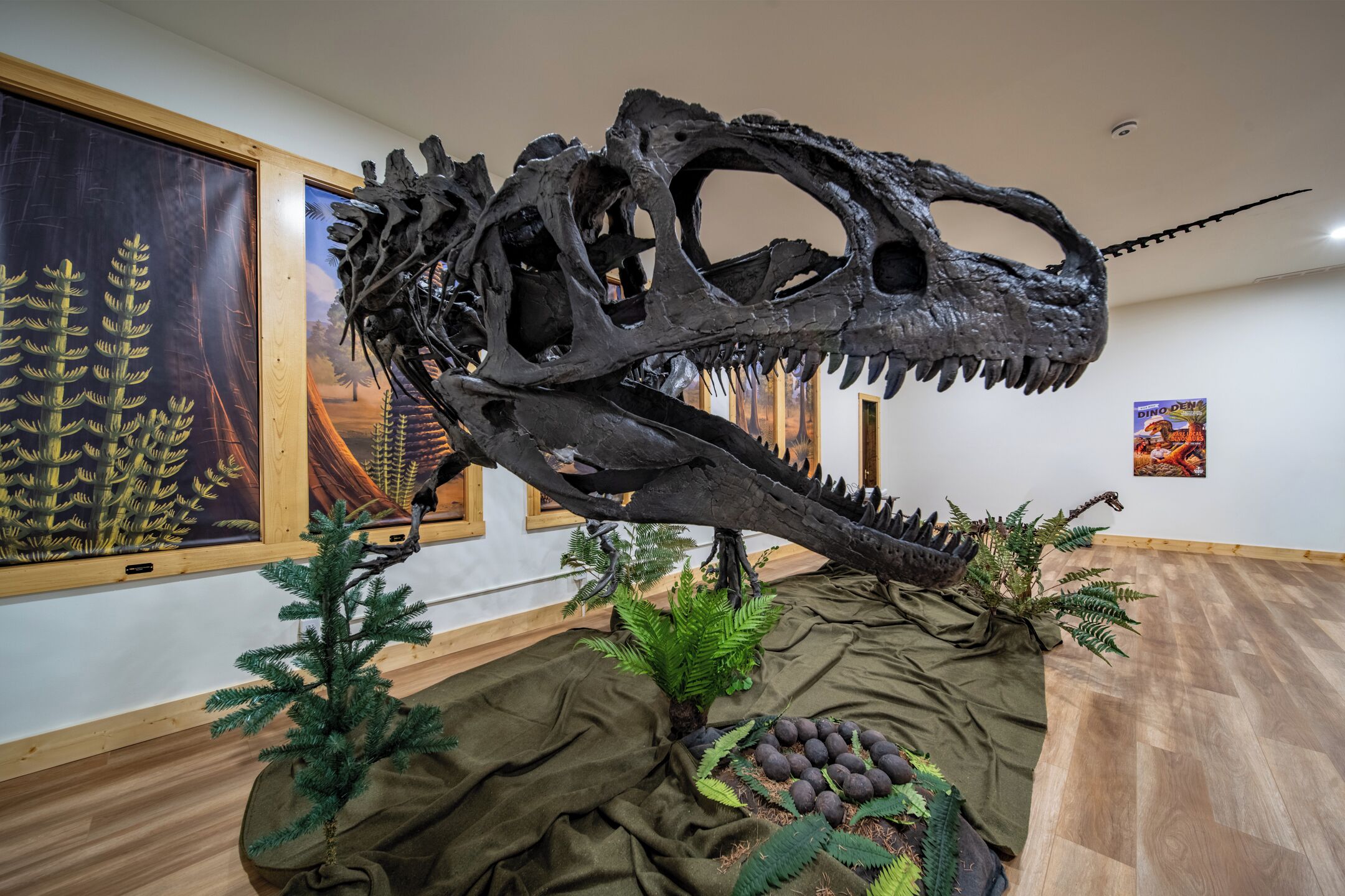 A dinosaur skeleton exhibit in a museum with framed botanical artwork on the walls.