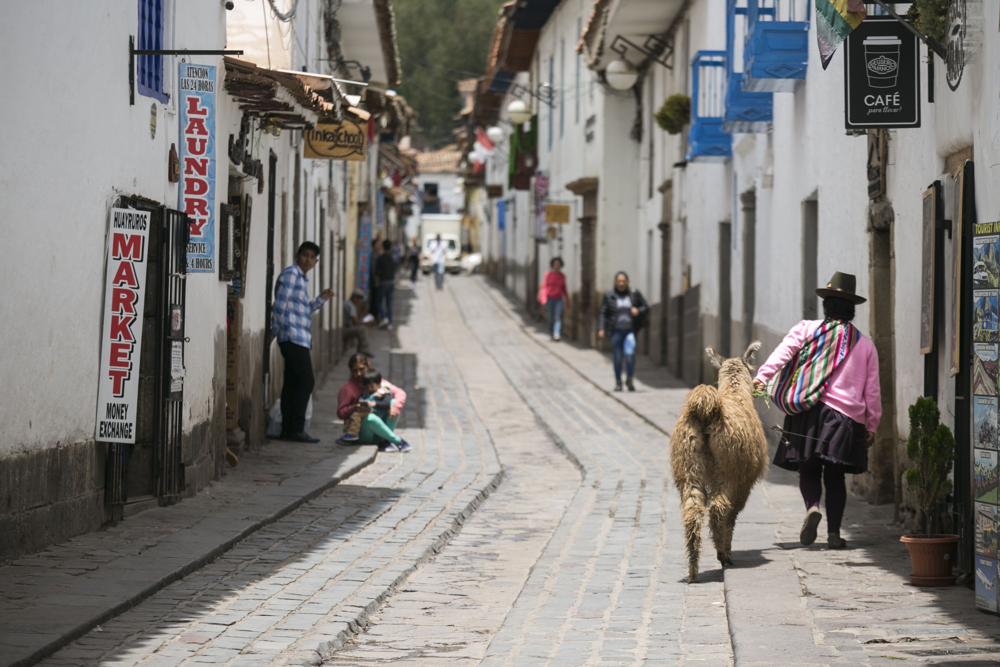 A cobblestone street with buildings on either side, a llama walking down the street, and people sitting and walking.