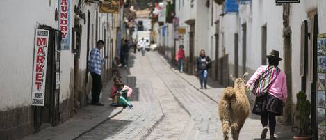 A cobblestone street with buildings on either side, a llama walking down the street, and people sitting and walking.
