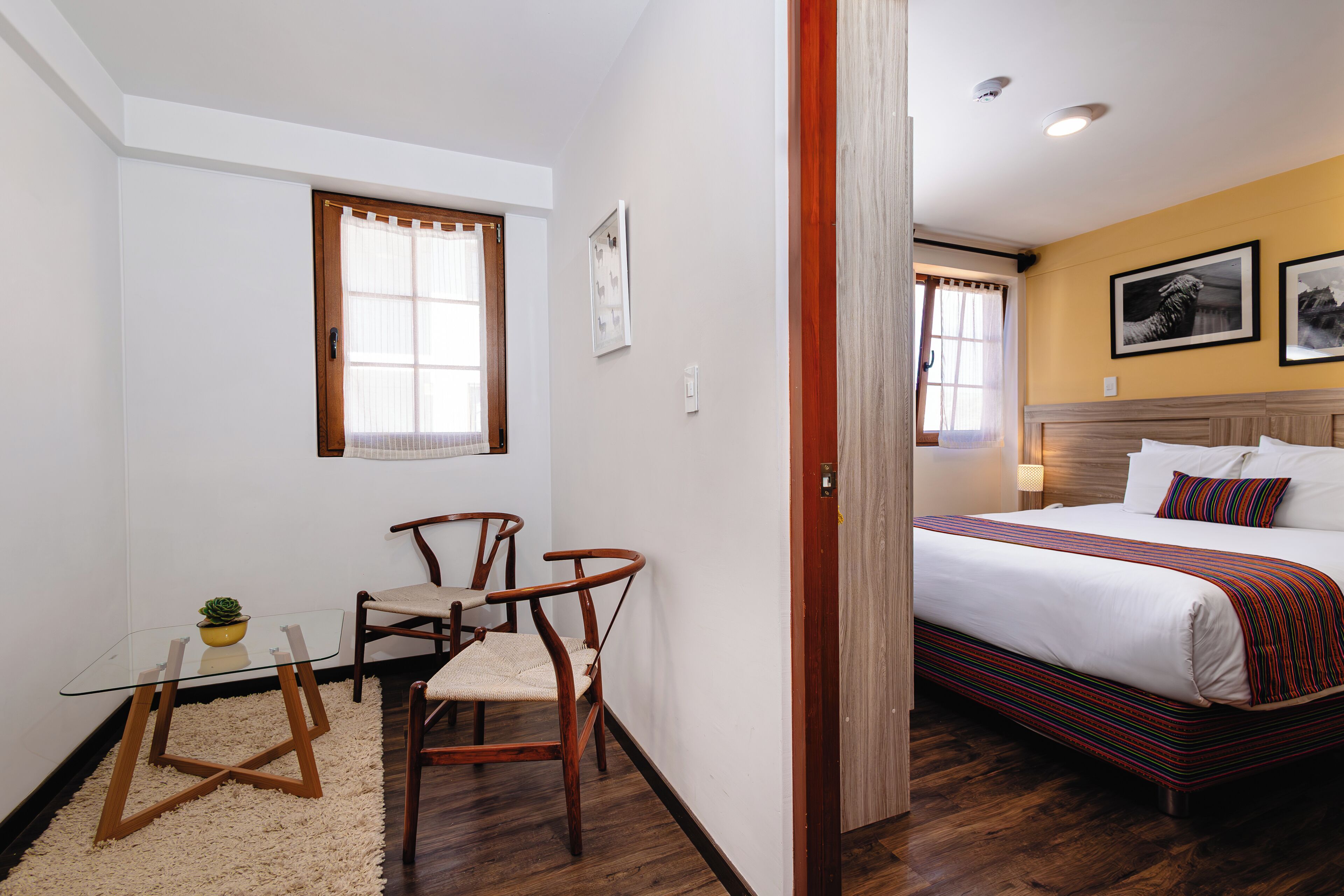 Habitación de hotel con cama, una mesita con una planta, dos sillas y una ventana.